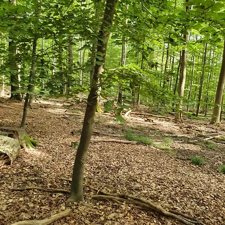 Landleben - 2 Φρίτσλαρ