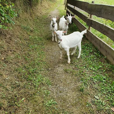 Σπίτι διακοπών Landleben - 2