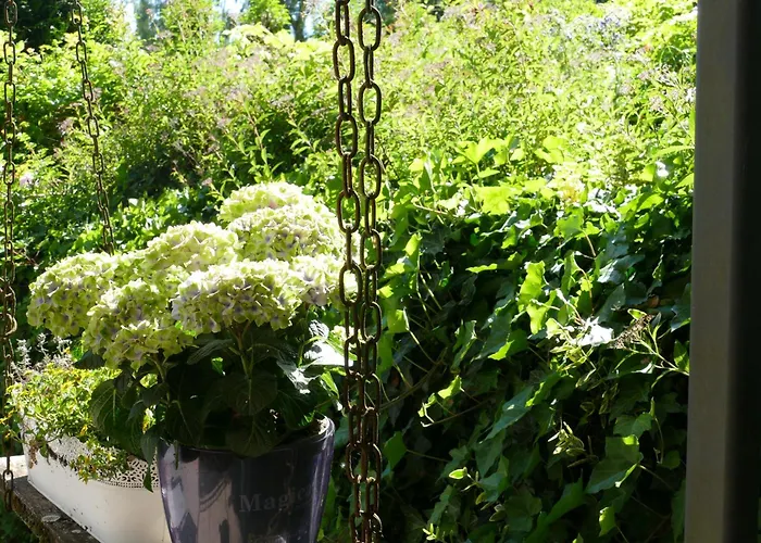 度假居 Landleben - 2 弗里茨拉尔