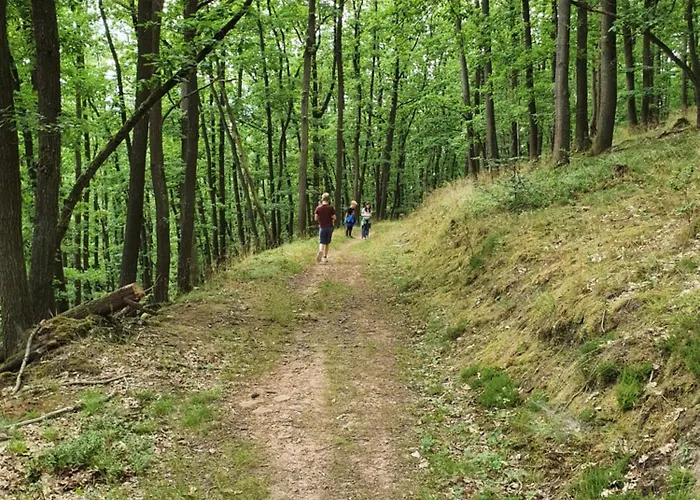 Landleben - 2 度假居