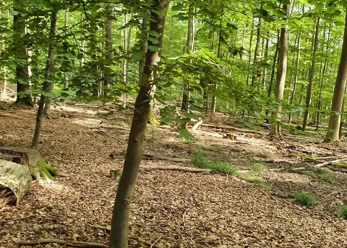 Landleben - 2 弗里茨拉尔