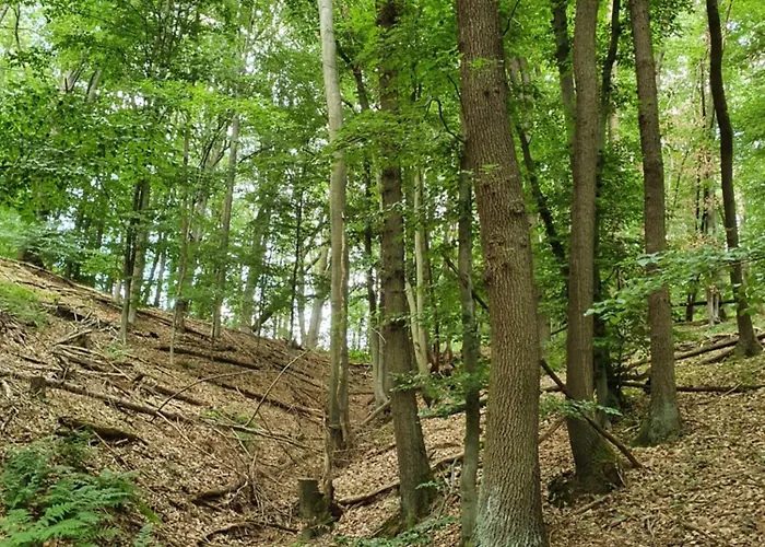 Landleben - 2 度假居